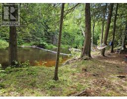 31 Digby Laxton Boundary Road, Kawartha Lakes, ON K0M2B0 Photo 6