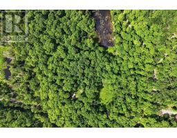 0 Salerno Lake Road, Highlands East, ON K0M1S0 Photo 10