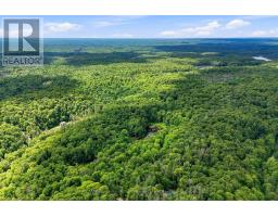 0 Salerno Lake Road, Highlands East, ON K0M1S0 Photo 14