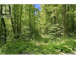 0 Salerno Lake Road, Highlands East, ON K0M1S0 Photo 6