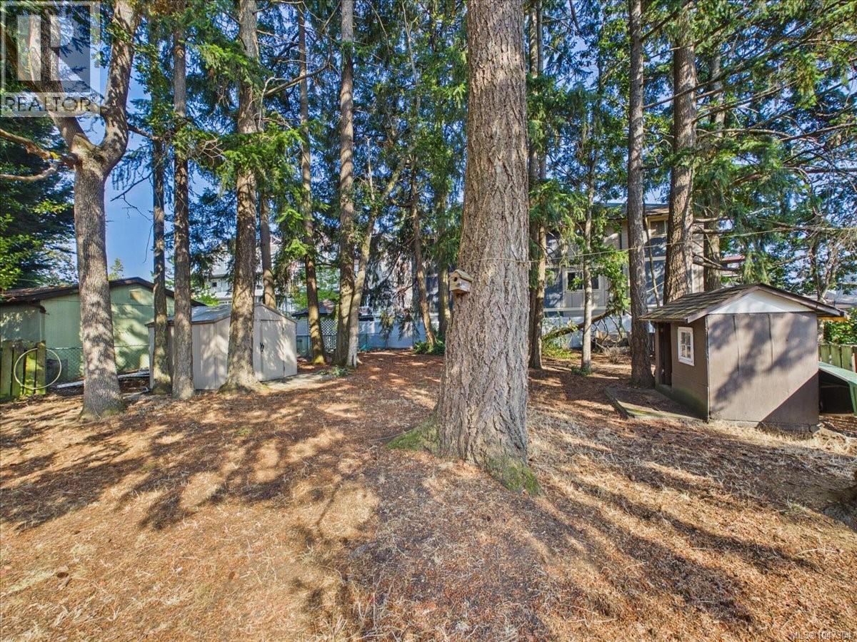 2707 Scafe Rd - 6