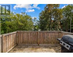 38 Forest Road thumbnail 39
