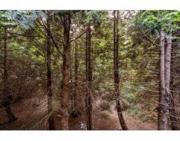 209 15238 100 Avenue, Surrey, BC V3R7T9 Photo 25