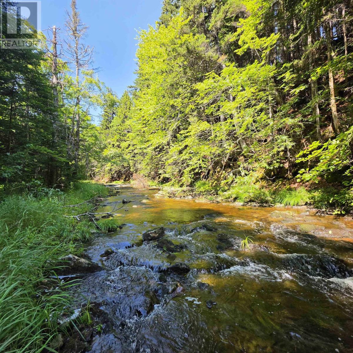 Property 8 of 22 of 72 North Greville Road