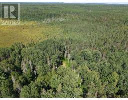 Pcl 17224 North Skead Bayly Road, Kirkland Lake, ON P0K1L0 Photo 9