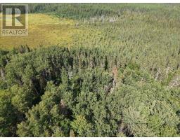 Pcl 17224 North Skead Bayly Road, Kirkland Lake, ON P0K1L0 Photo 18