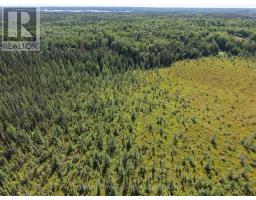 Pcl 17224 North Skead Bayly Road, Kirkland Lake, ON P0K1L0 Photo 12