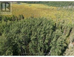 Pcl 17224 North Skead Bayly Road, Kirkland Lake, ON P0K1L0 Photo 7