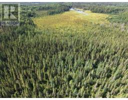 Pcl 17224 North Skead Bayly Road, Kirkland Lake, ON P0K1L0 Photo 15