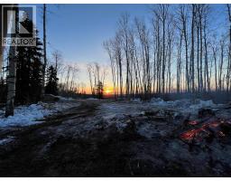 Se-27-79-9-w6 92 Range Road, Rural Saddle Hills County, AB T0H0G0 Photo 20