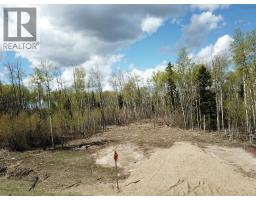 Se-27-79-9-w6 92 Range Road, Rural Saddle Hills County, AB T0H0G0 Photo 16
