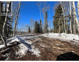 Se-27-79-9-w6 92 Range Road, Rural Saddle Hills County, AB T0H0G0 Photo 19