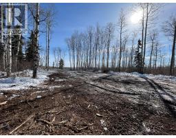 Se-27-79-9-w6 92 Range Road, Rural Saddle Hills County, AB T0H0G0 Photo 21