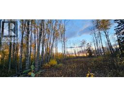 Se-27-79-9-w6 92 Range Road, Rural Saddle Hills County, AB T0H0G0 Photo 6