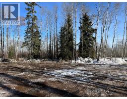 Se-27-79-9-w6 92 Range Road, Rural Saddle Hills County, AB T0H0G0 Photo 17
