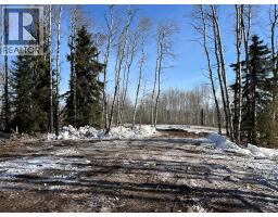 Se-27-79-9-w6 92 Range Road, Rural Saddle Hills County, AB T0H0G0 Photo 24