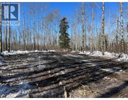 Se-27-79-9-w6 92 Range Road, Rural Saddle Hills County, AB T0H0G0 Photo 27