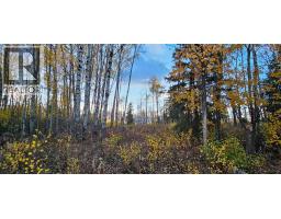 Se-27-79-9-w6 92 Range Road, Rural Saddle Hills County, AB T0H0G0 Photo 9