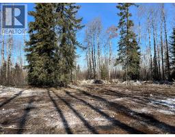 Se-27-79-9-w6 92 Range Road, Rural Saddle Hills County, AB T0H0G0 Photo 30