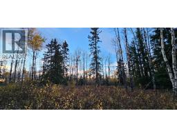 Se-27-79-9-w6 92 Range Road, Rural Saddle Hills County, AB T0H0G0 Photo 7