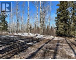 Se-27-79-9-w6 92 Range Road, Rural Saddle Hills County, AB T0H0G0 Photo 23