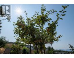 6218 Highwood Dr, Duncan, BC V9L0H5 Photo 51
