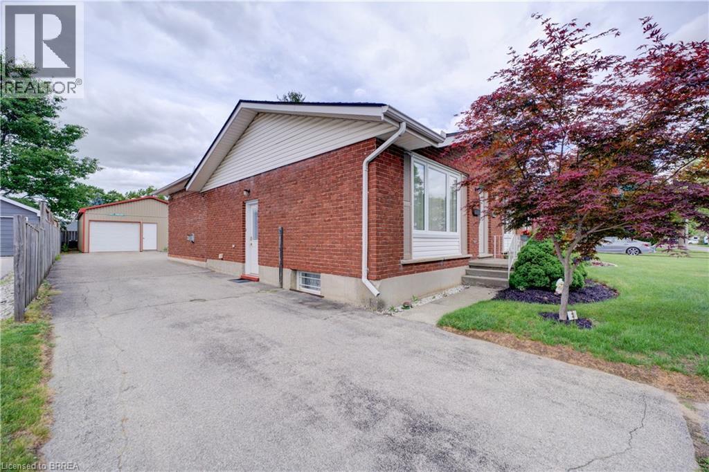 83 EVELYN Street - 3