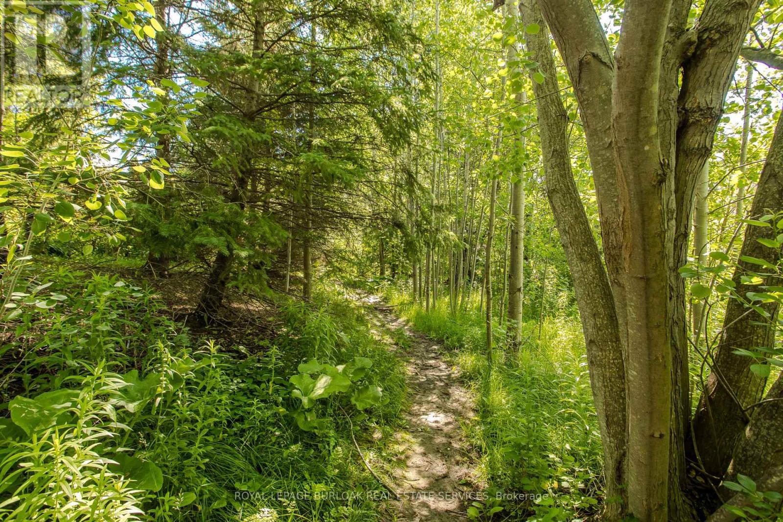 5174 RAVINE CRESCENT - 6