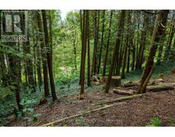 34 Hilltop Drive, South Bruce Peninsula, ON N0H1A0 Photo 14