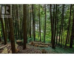 34 Hilltop Drive, South Bruce Peninsula, ON N0H1A0 Photo 15