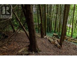 34 Hilltop Drive, South Bruce Peninsula, ON N0H1A0 Photo 17