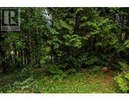 34 Hilltop Drive, South Bruce Peninsula, ON N0H1A0 Photo 19