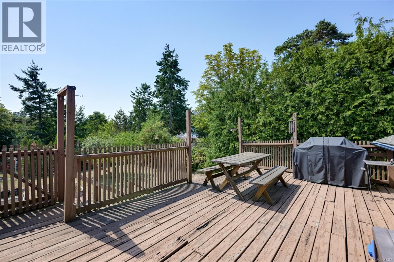  3374 Cook Street, Saanich
