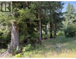 609 Keno Cres, Zeballos, BC V0P2A0 Photo 10
