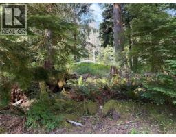 609 Keno Cres, Zeballos, BC V0P2A0 Photo 13