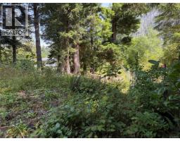 609 Keno Cres, Zeballos, BC V0P2A0 Photo 14