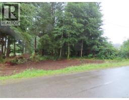 609 Keno Cres, Zeballos, BC V0P2A0 Photo 17