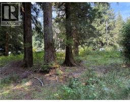 609 Keno Cres, Zeballos, BC V0P2A0 Photo 6