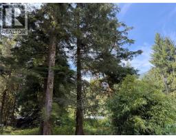 609 Keno Cres, Zeballos, BC V0P2A0 Photo 7