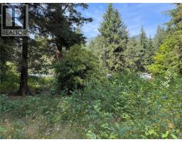 609 Keno Cres, Zeballos, BC V0P2A0 Photo 8