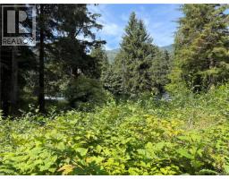 609 Keno Cres, Zeballos, BC V0P2A0 Photo 9