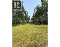 Cawkwell Acreage 2, Kelvington, SK S0A1W0 Photo 12