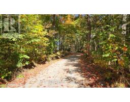 1764 Bay Park Road, Severn, ON L3V0V7 Photo 23