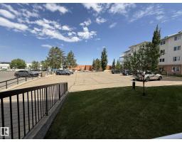 #102 10903 21 Av Nw, Edmonton, AB T6J7A4 Photo 42