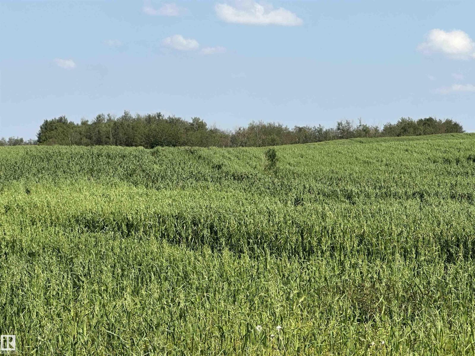 Property for sale at Range Road 185 East Side, North of HWY 15