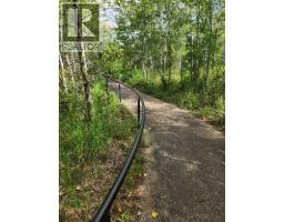 5430 51a Street, Bashaw, AB T0B0H0 Photo 6