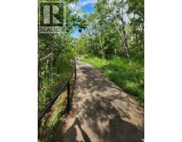 5430 51a Street, Bashaw, AB T0B0H0 Photo 7