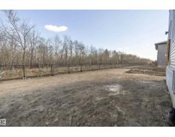 17611 7 St Ne, Edmonton, AB T5Y4K3 Photo 49