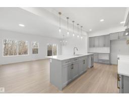 17611 7 St Ne, Edmonton, AB T5Y4K3 Photo 9