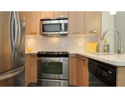 205 15388 105 Avenue, Surrey, BC V3R0C4 Photo 13
